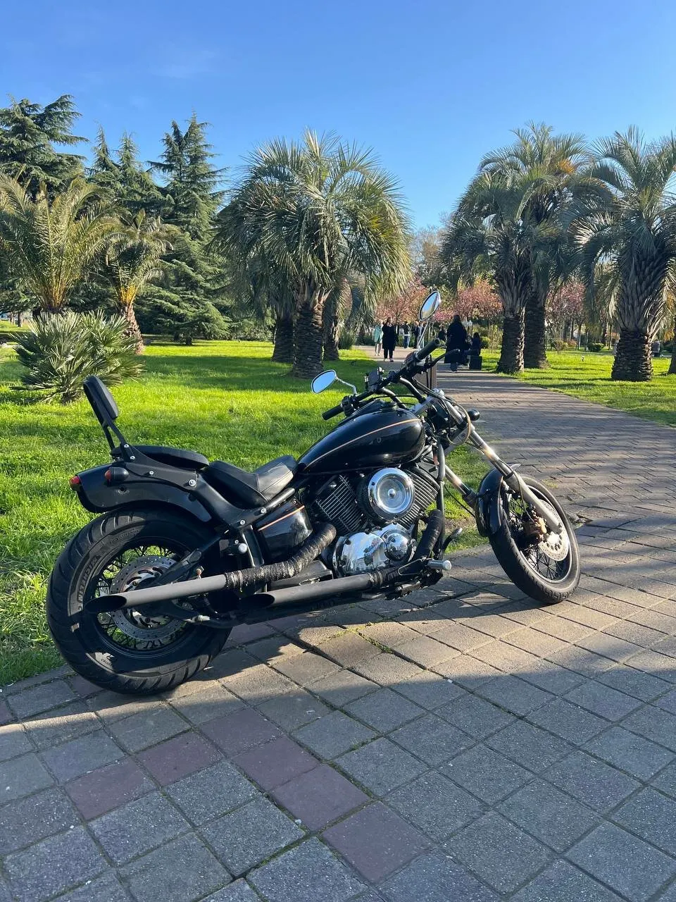 Yamaha Drag Star 1100 из парка Мото-точки на аллее с пальмами в Сочи